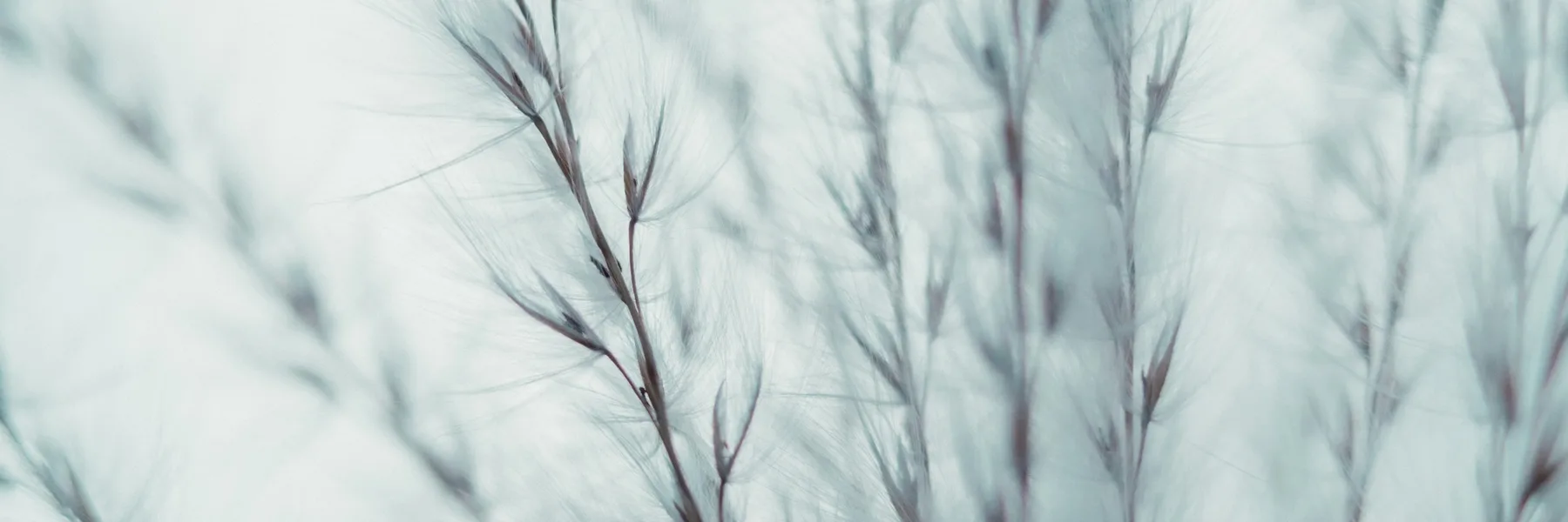 Thérana | Nathalie Konwicki