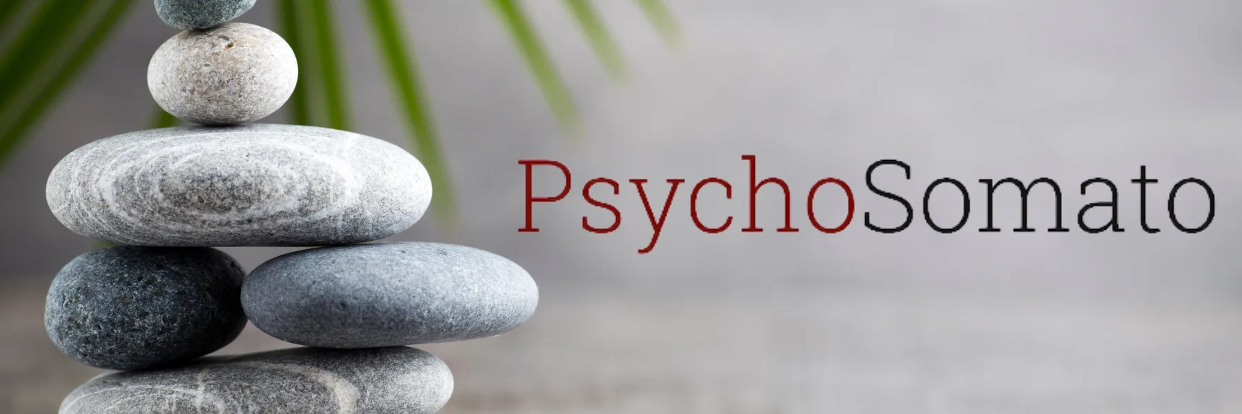 Cabinet de Kinésiologie Agréé ASCA Patricia Sudan | PsychoSomato