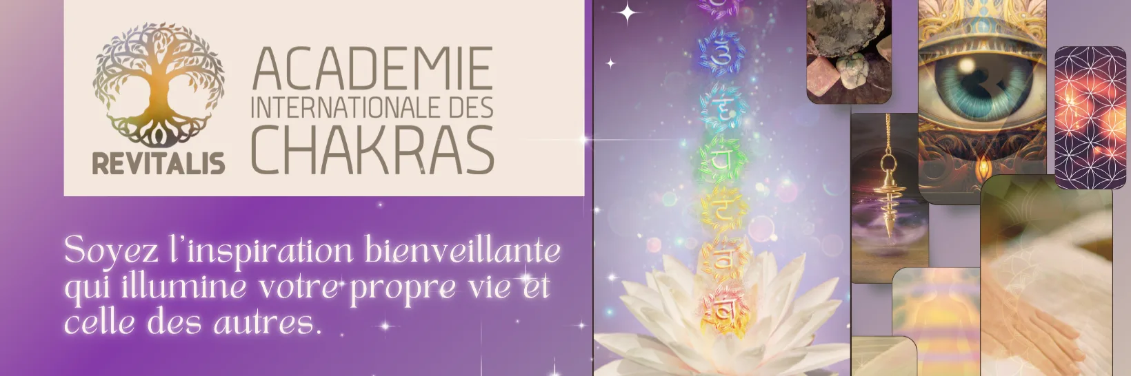 Académie Revitalis