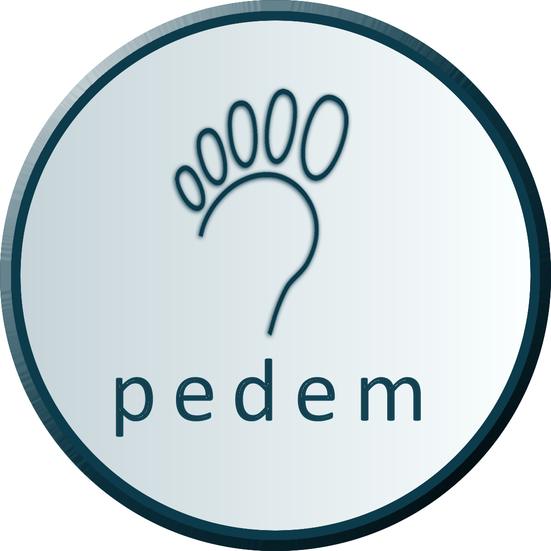 pedem - Christian Balsiger