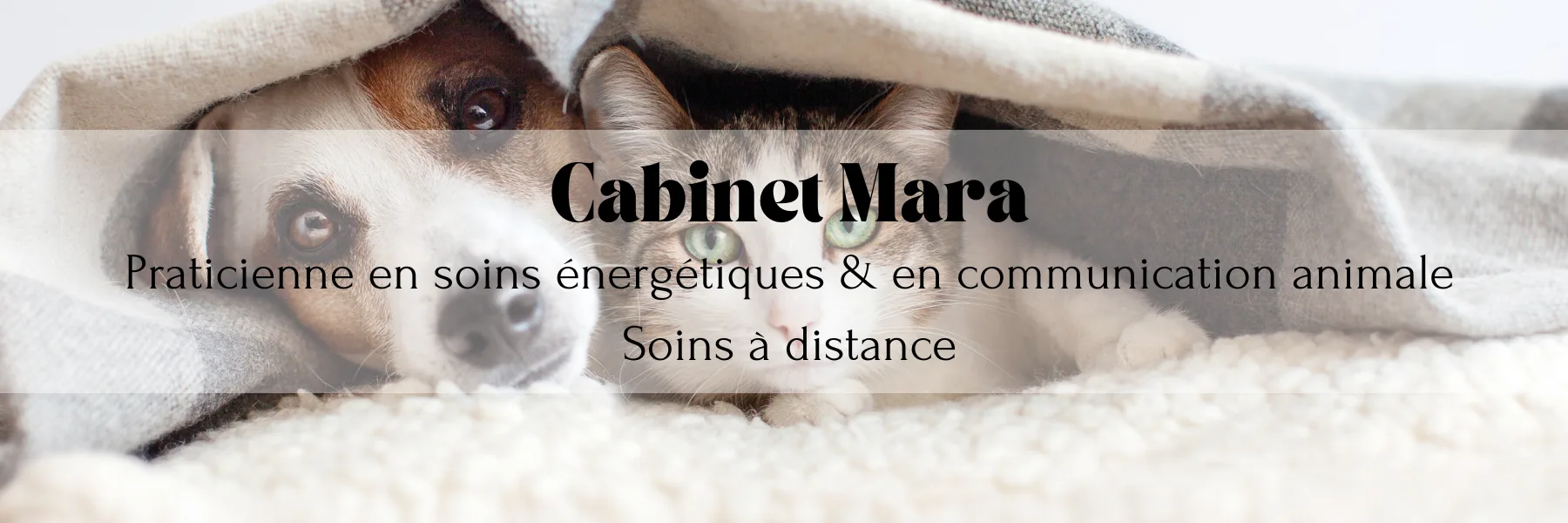 Cabinet Mara - par Julia Kolly