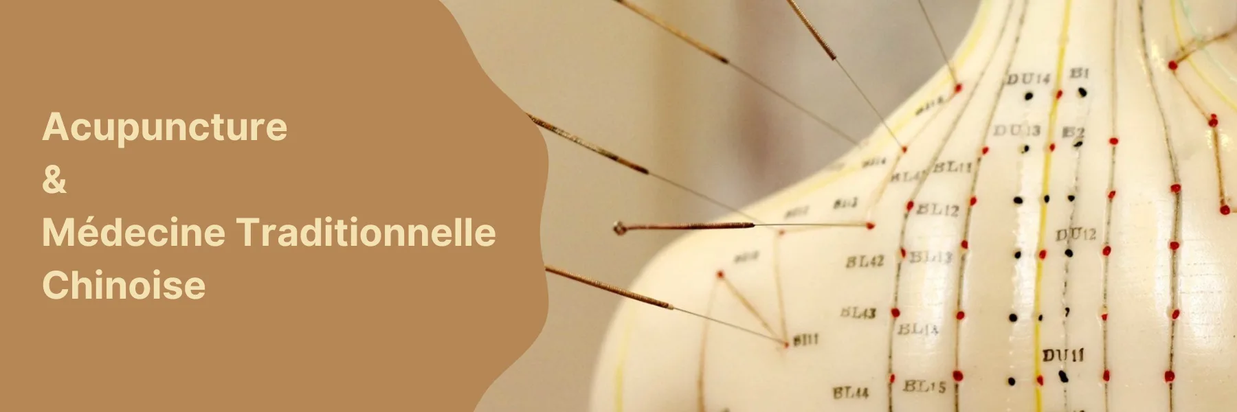 Cecilia Acupuncture MTC