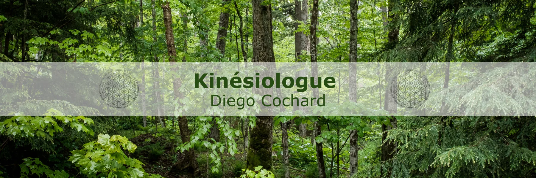 CoDiKiné - Diego Cochard