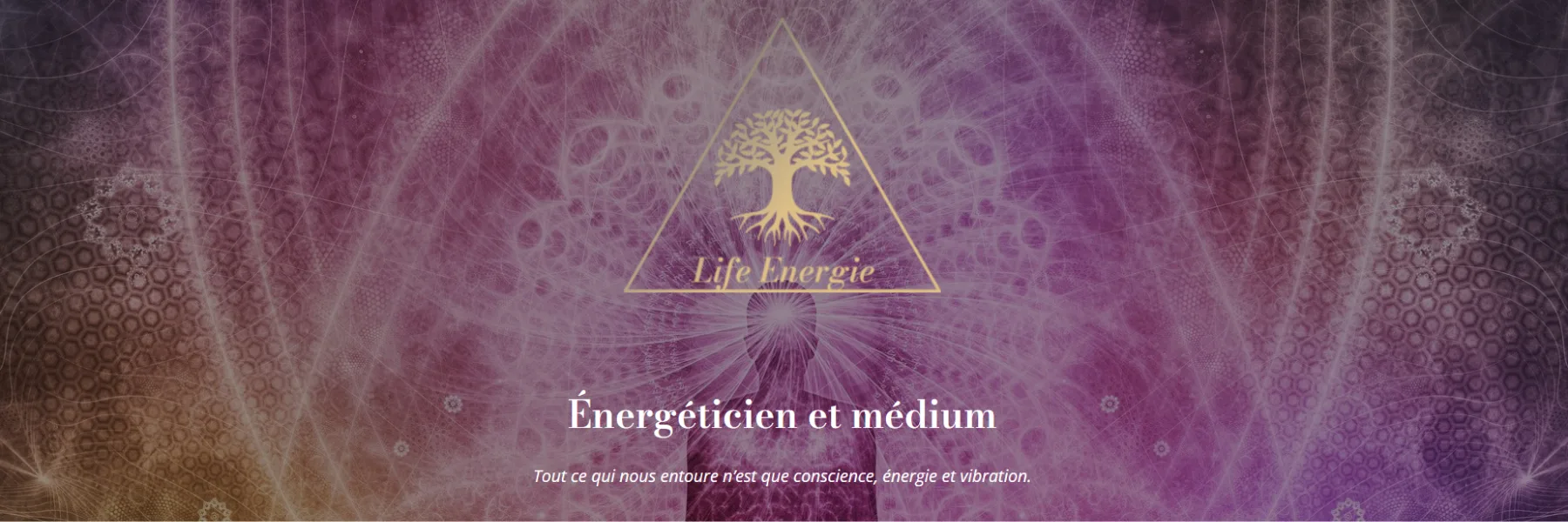 Life Energie - Ludovic Beaurenault