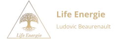 Life Energie - Ludovic Beaurenault