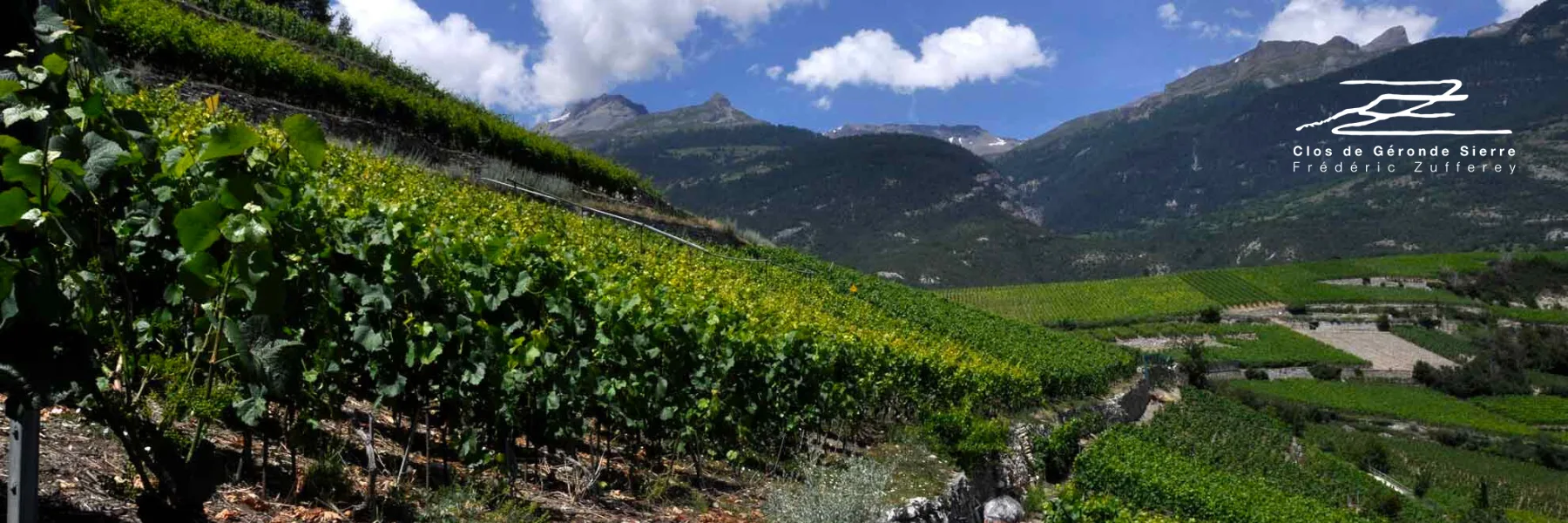 Zufferey Frédéric Clos de Géronde Sierre