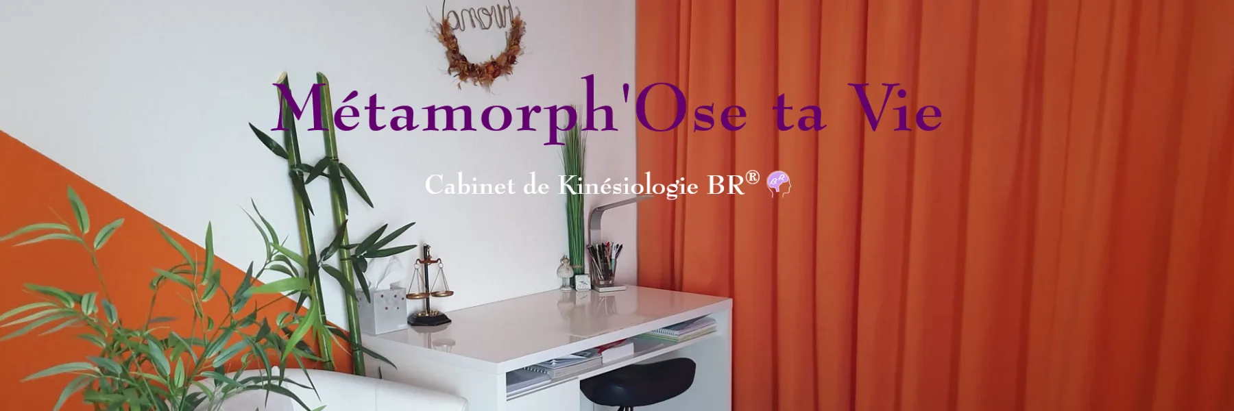 Cabinet de Kinésiologie BR® Métamorph'Ose ta Vie