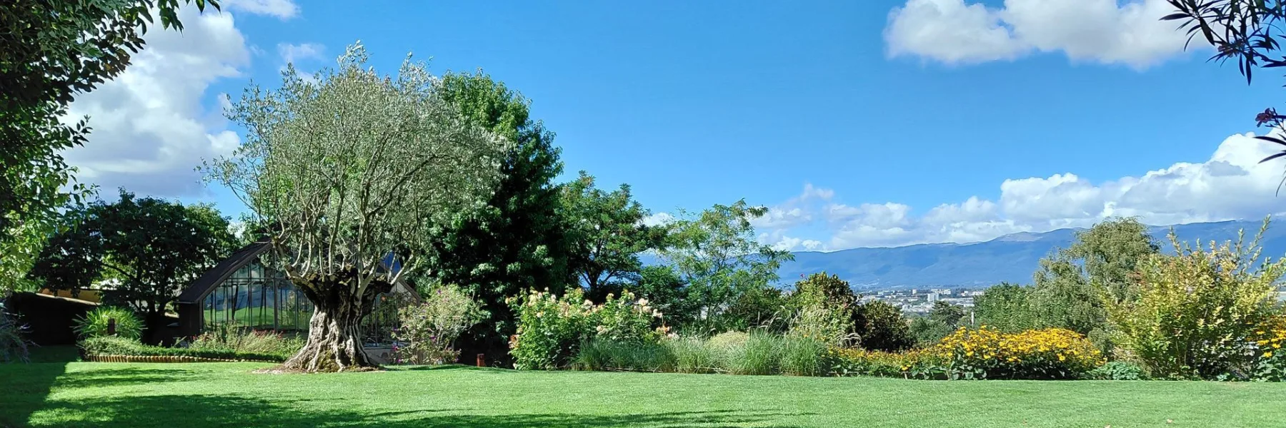 Sommer Harmonie Jardin Sàrl