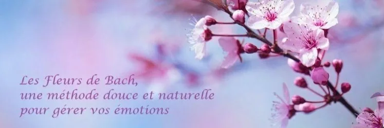 Reiki bien-être | Christine Piccand