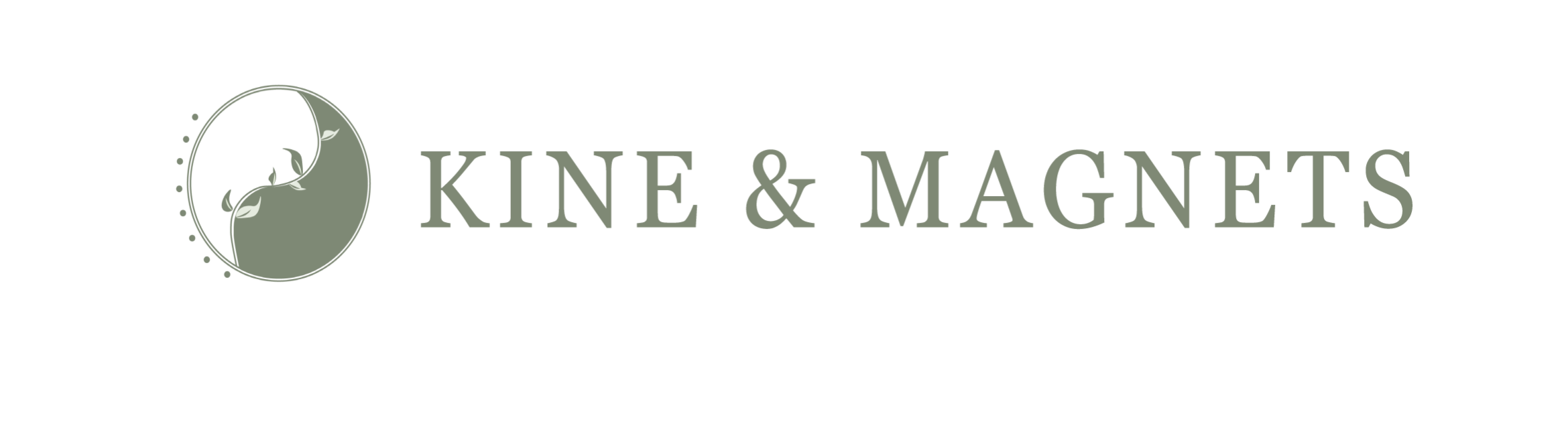 Kine and Magnets - Beatriz Perez Gonzalez