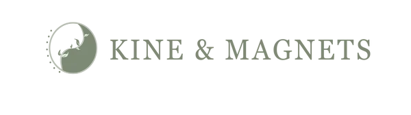 Kine and Magnets - Beatriz Perez Gonzalez