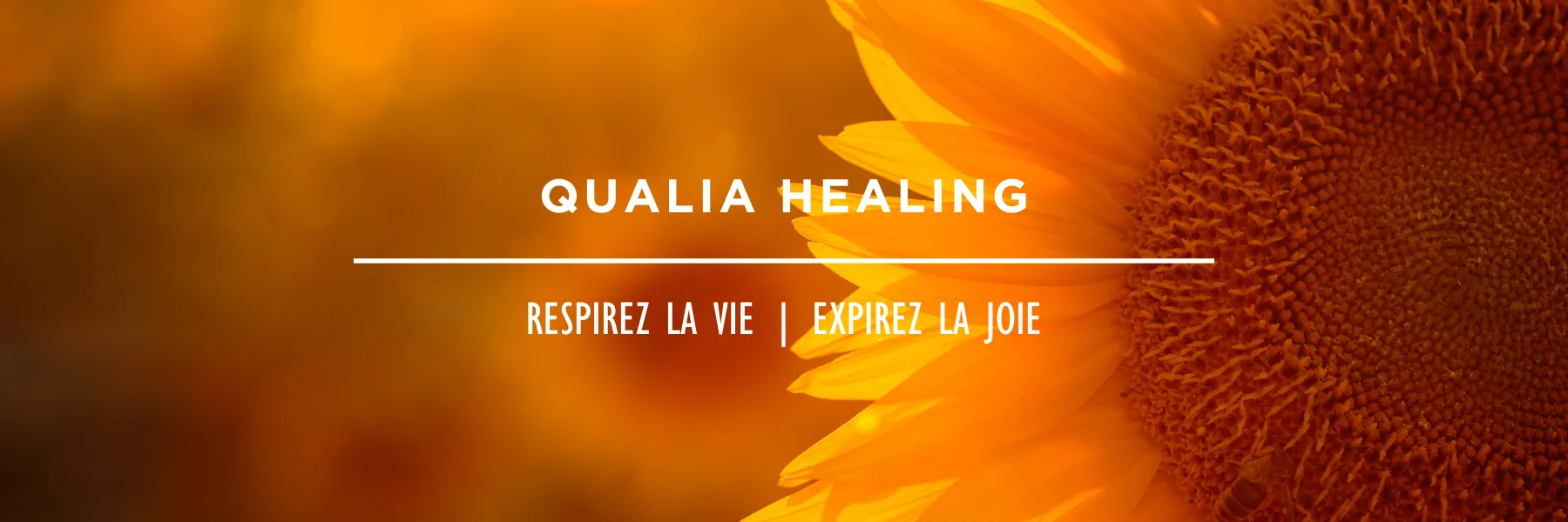 Qualia Space - Kiymet Ozgur