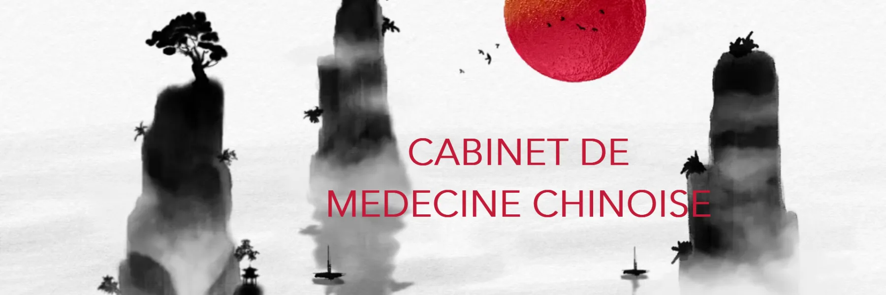 Sarah Gotheil Cabinet de médecine chinoise