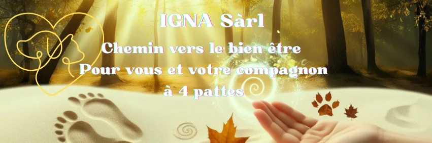 Symphonie naturelle - IGNA Sàrl | Béatrice Zeiler réflexologue