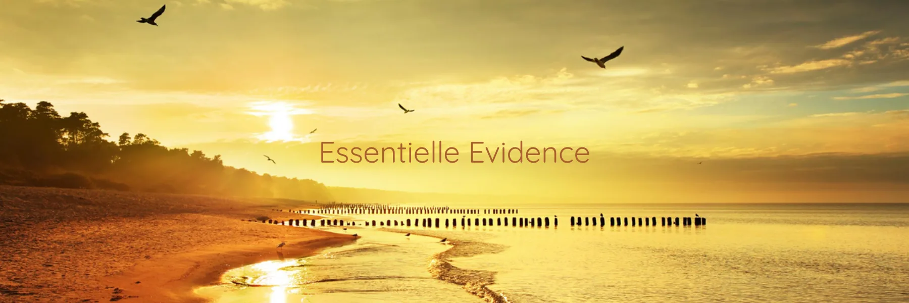 Valérie Sarmir | Essentielle Evidence