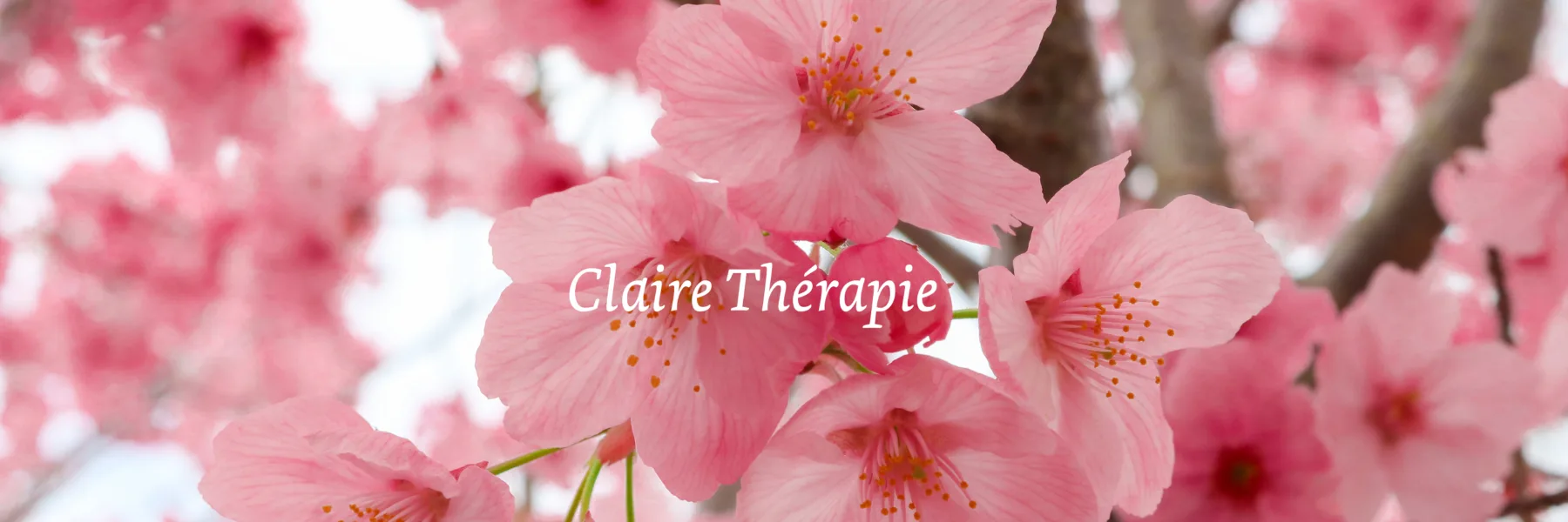 Claire Thérapie Corinne Hansmannel