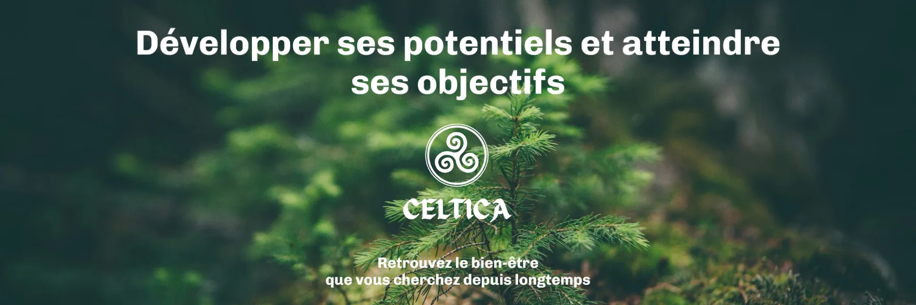 Celtica Energie | Julien Somma