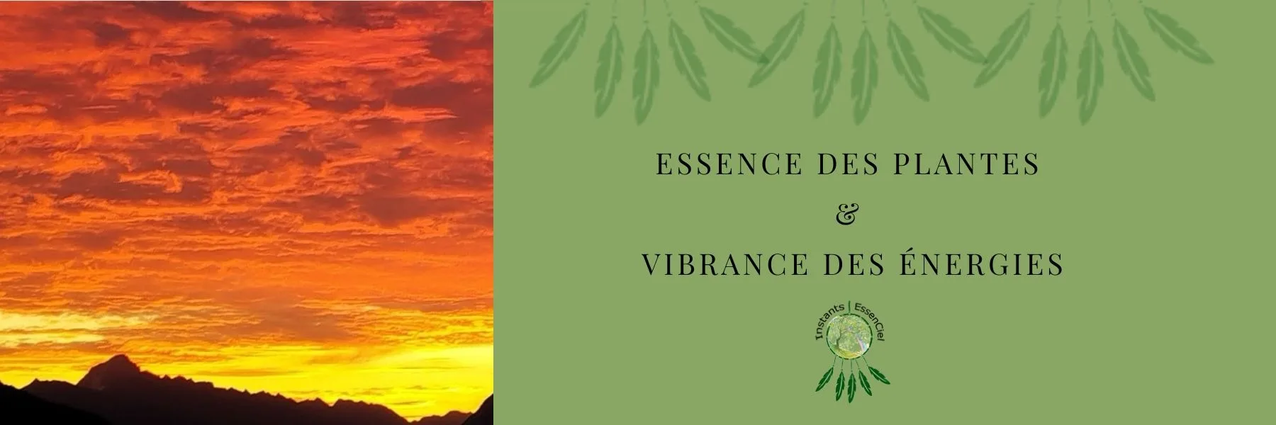 Instants Essenciel | Laëtitia Wyer & Stefan Wyer