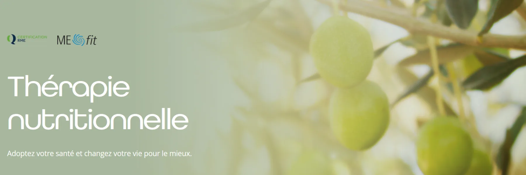 Nutrition Therapy | Alessandra Ginsburg