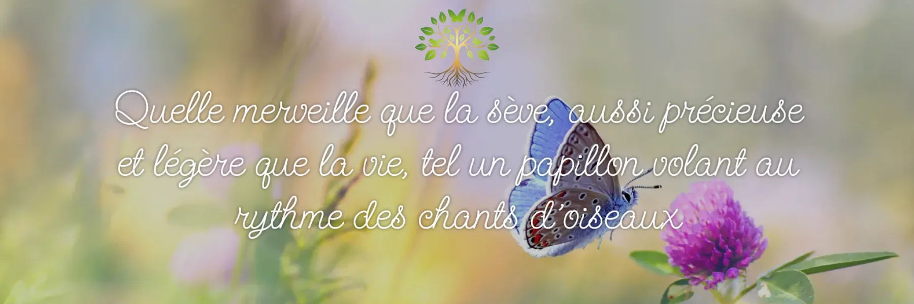 Sève et Vie Sàrl
