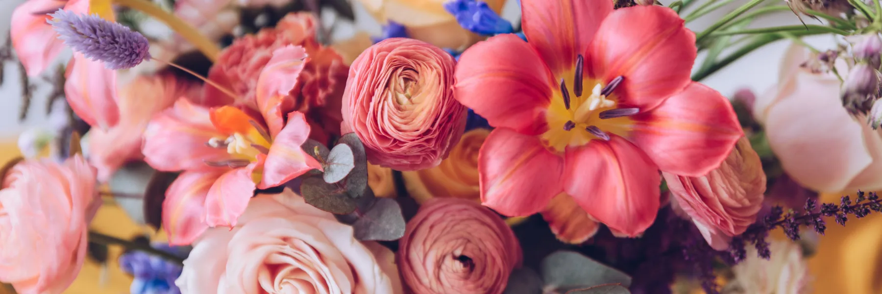Fleurs Elémen'Terre Sàrl
