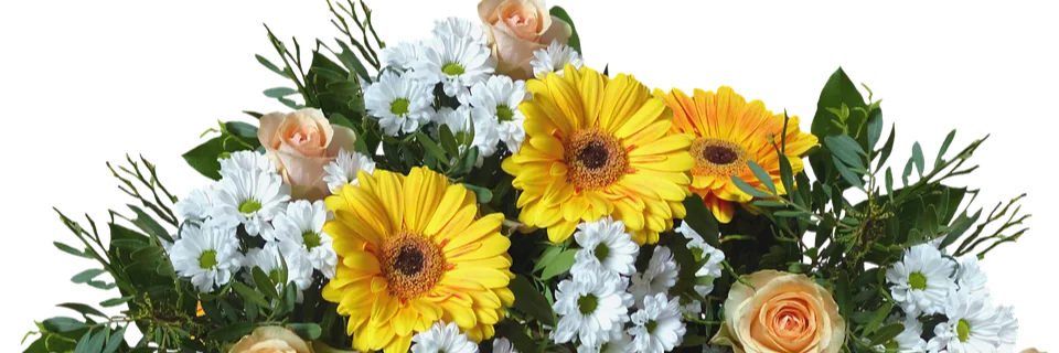 Golay Fleurs