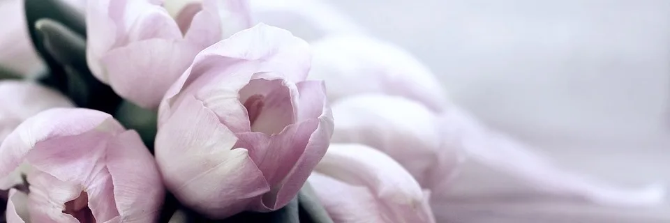 Golay Fleurs