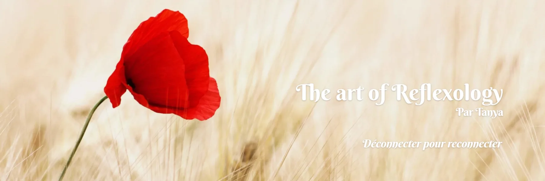 The Art of Reflexology - Tanya Stenstrom