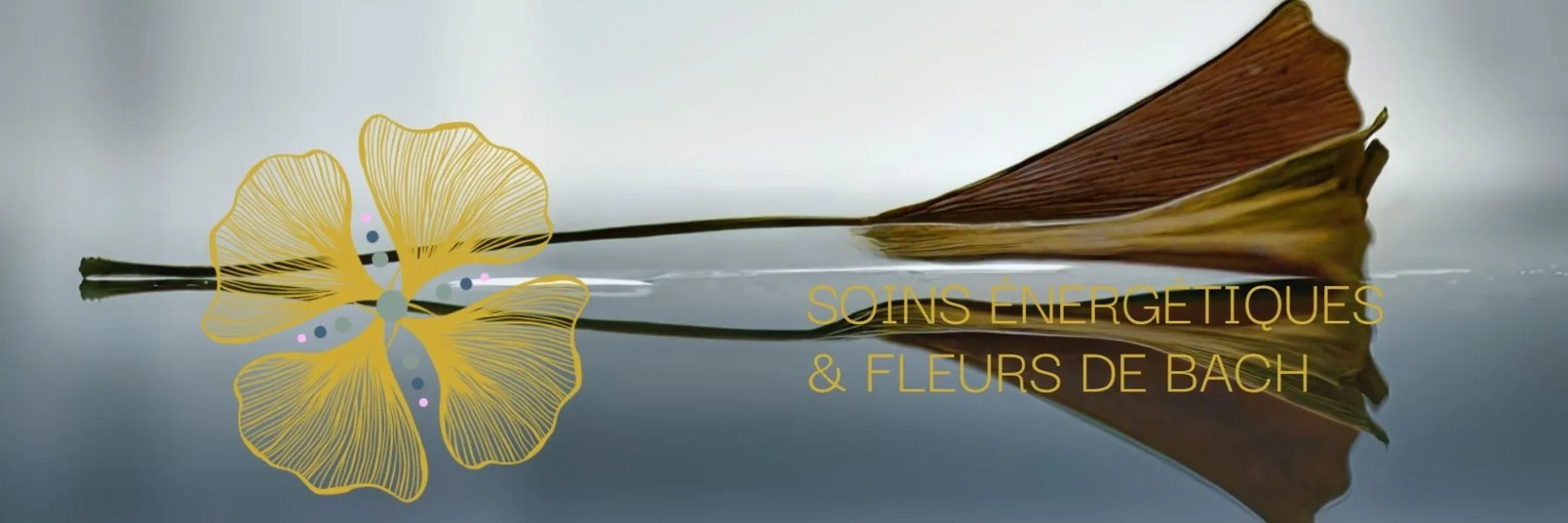 A fleur de l'âme