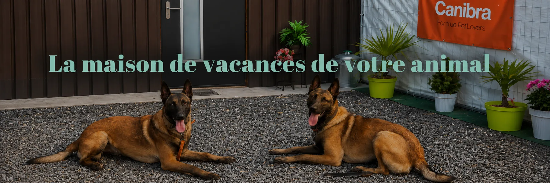 Chenil des Évouettes