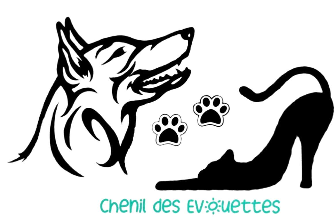 Chenil des Évouettes