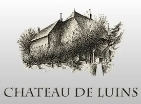 Château de Luins