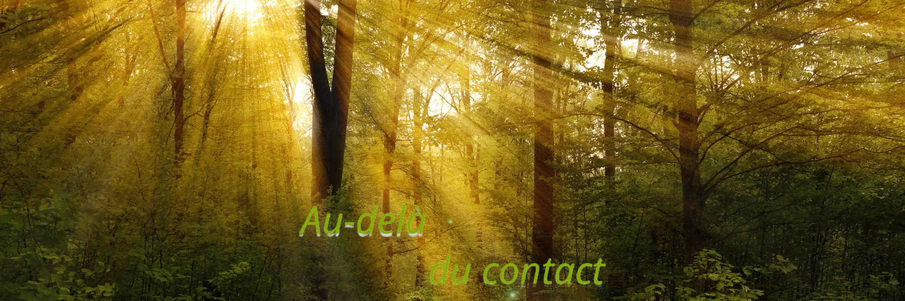 Au-delà du Contact Richard Girard