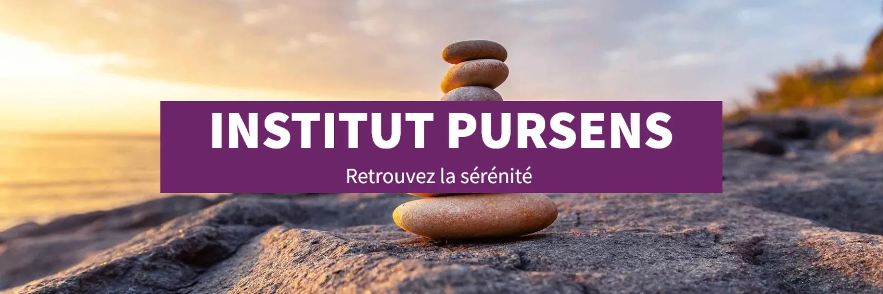 Institut PURSENS