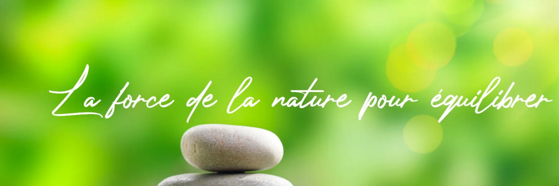 Espace Naturo Santé / Pascale Jacquemet - Naturopathe Diplôme fédéral en MTE