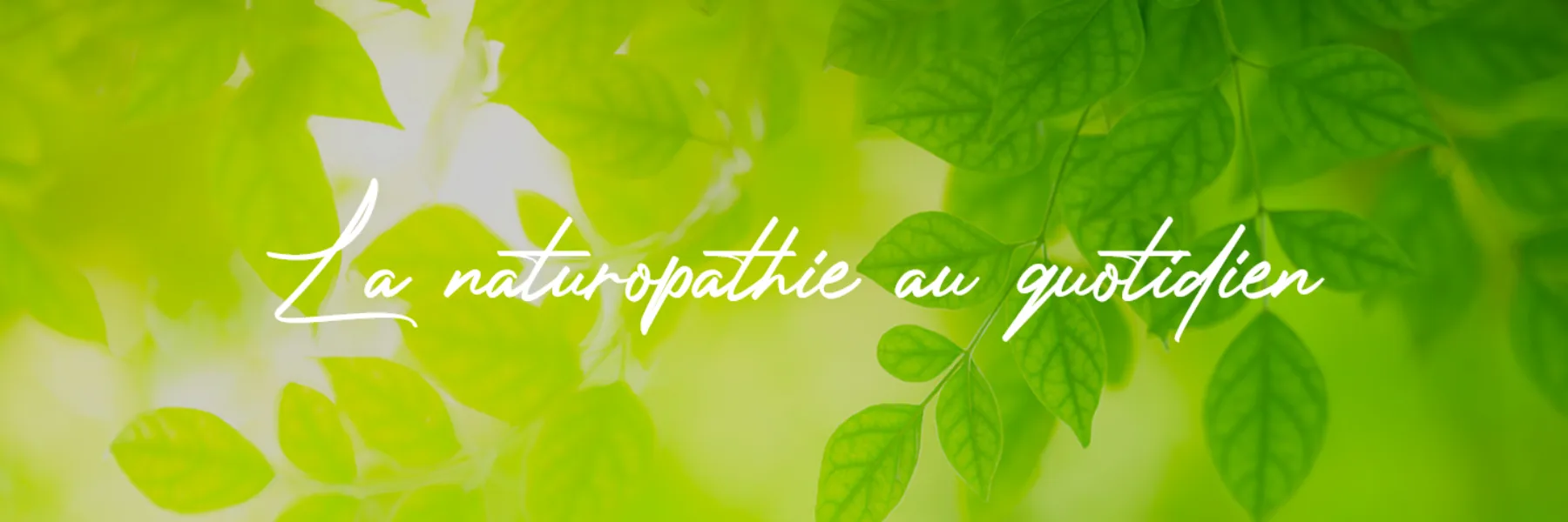 Espace Naturo Santé / Pascale Jacquemet - Naturopathe Diplôme fédéral en MTE