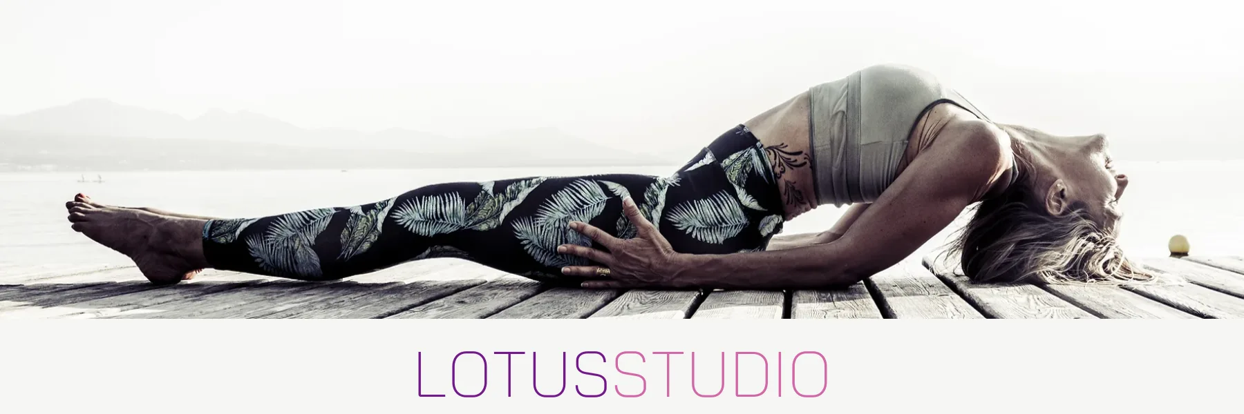 Lotus studio