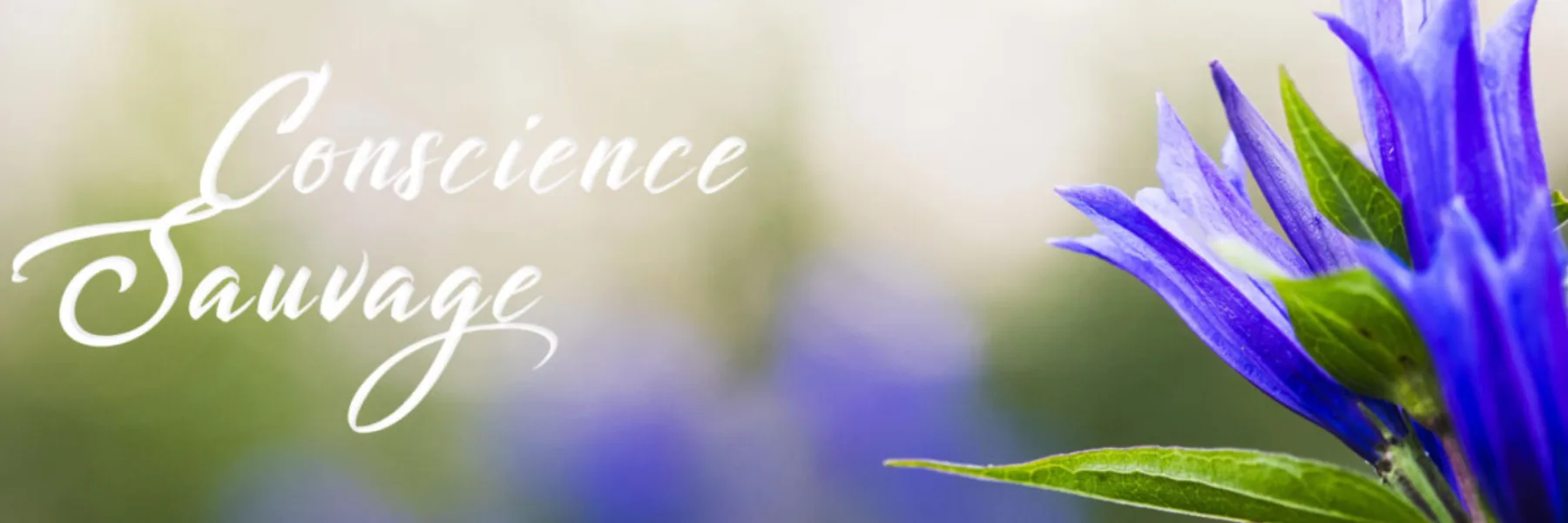 Conscience Sauvage · Christophe Cantin