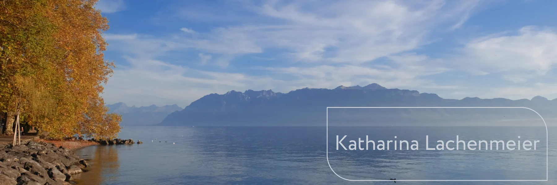 Constellations familiales et systémiques · Katharina Lachenmeier