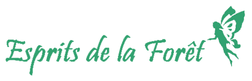 Esprits de la Forêt - Steeve Di Marco