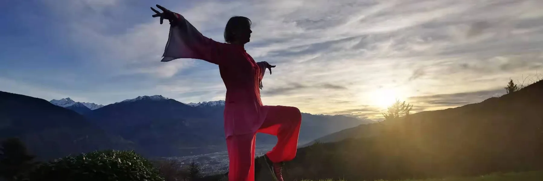 E-Qi-Libre - Yvette La Marra (acupuncture, massage TuiNa/AnMo, Qi Gong, Ecole Professionnelle de Qi Gong)
