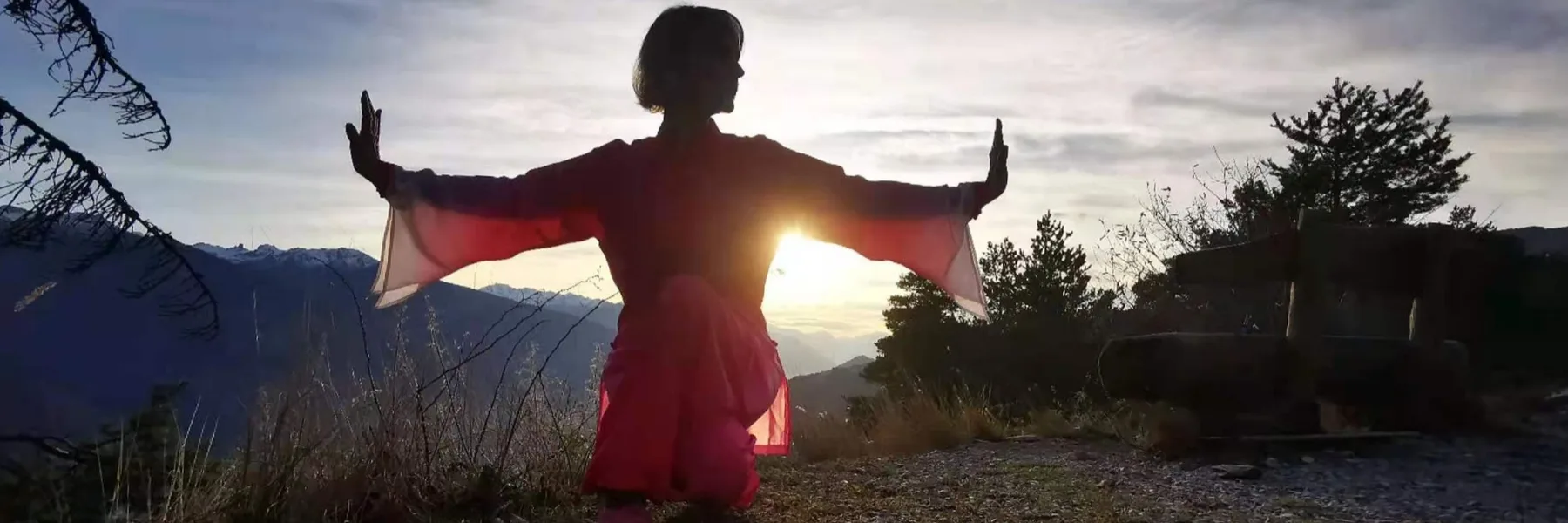 E-Qi-Libre - Yvette La Marra (acupuncture, massage TuiNa/AnMo, Qi Gong, Ecole Professionnelle de Qi Gong)