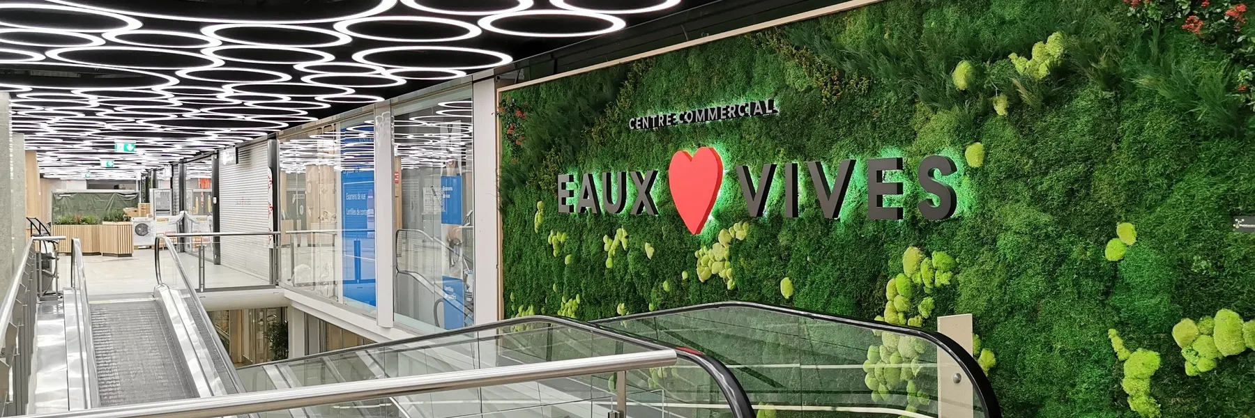 Végétal Tendance SARL
