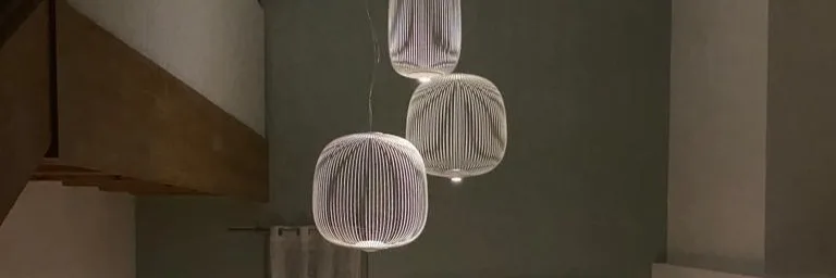 ARN Light