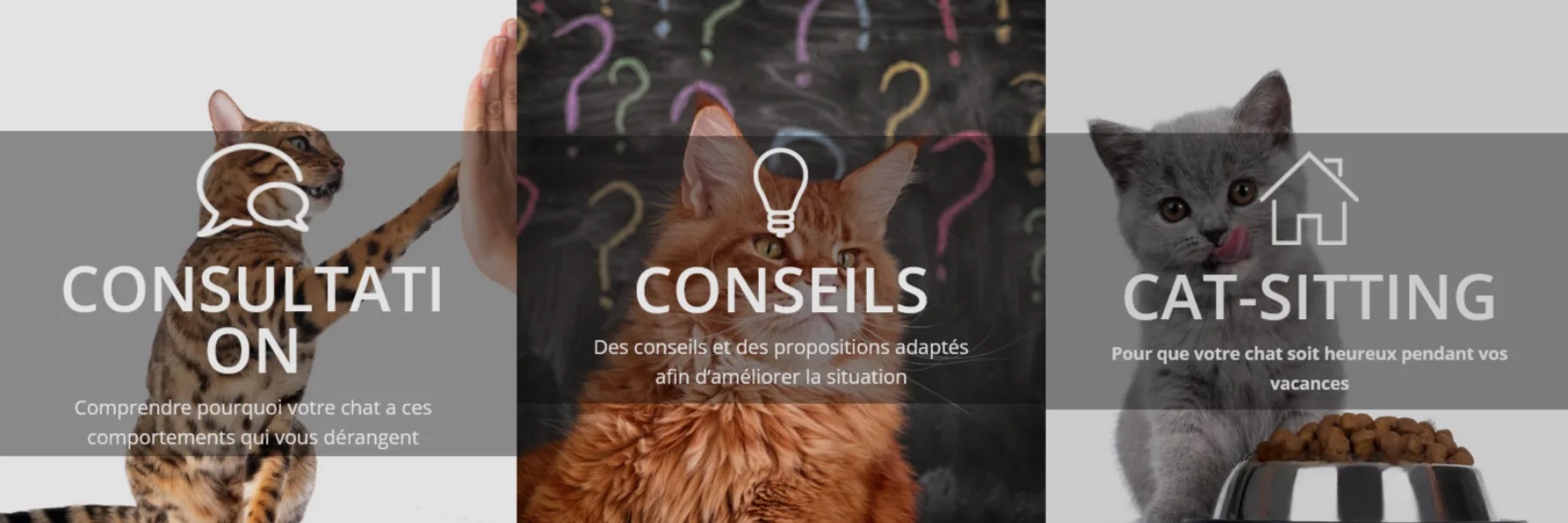 Pourquoi Chat ? | Laure Frutig