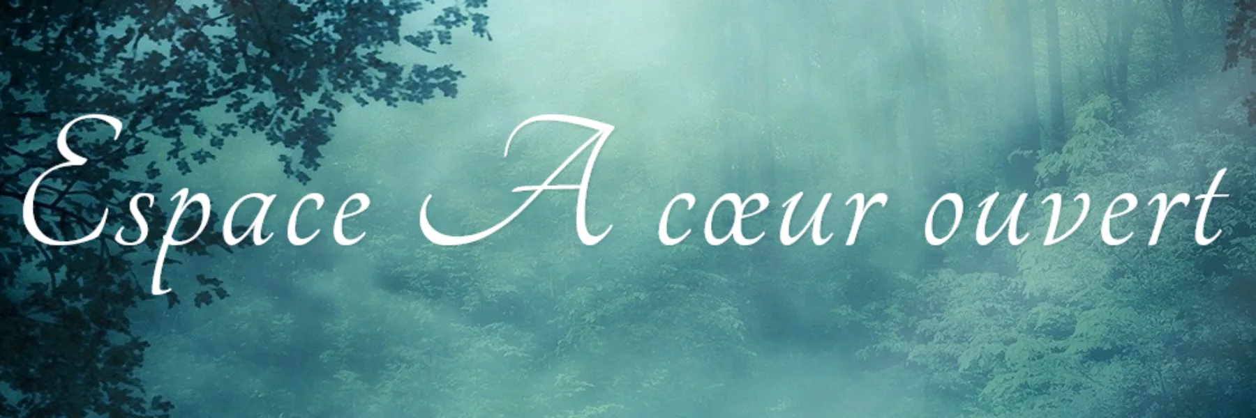 A coeur ouvert | Nadia Gaillet