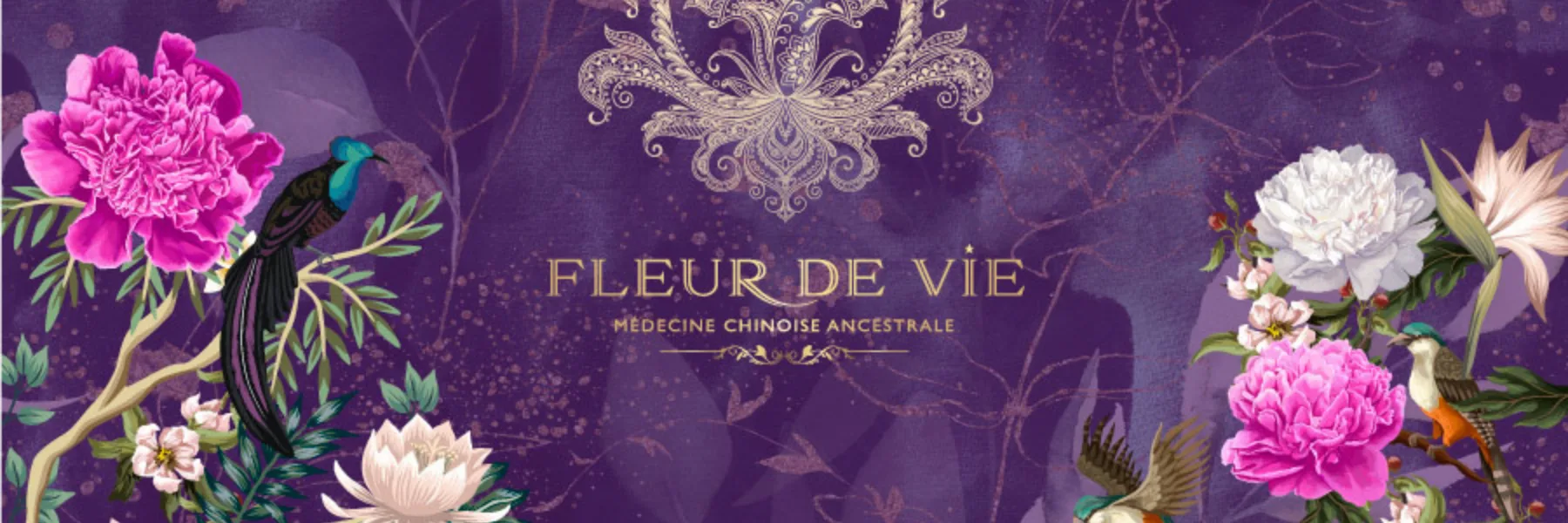 Cabinet Fleur de Vie · Nancy Caetano
