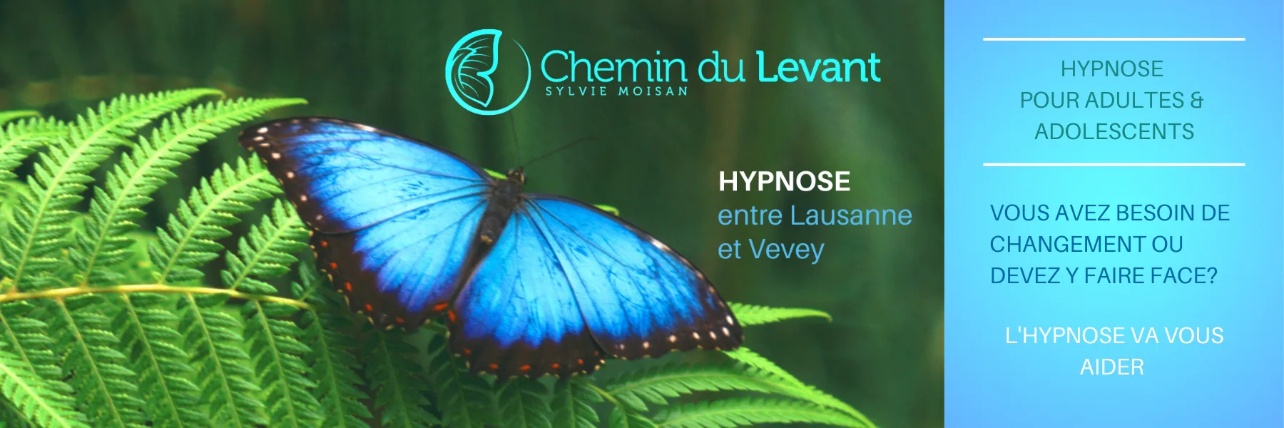 Chemin du Levant - Sylvie Moisan