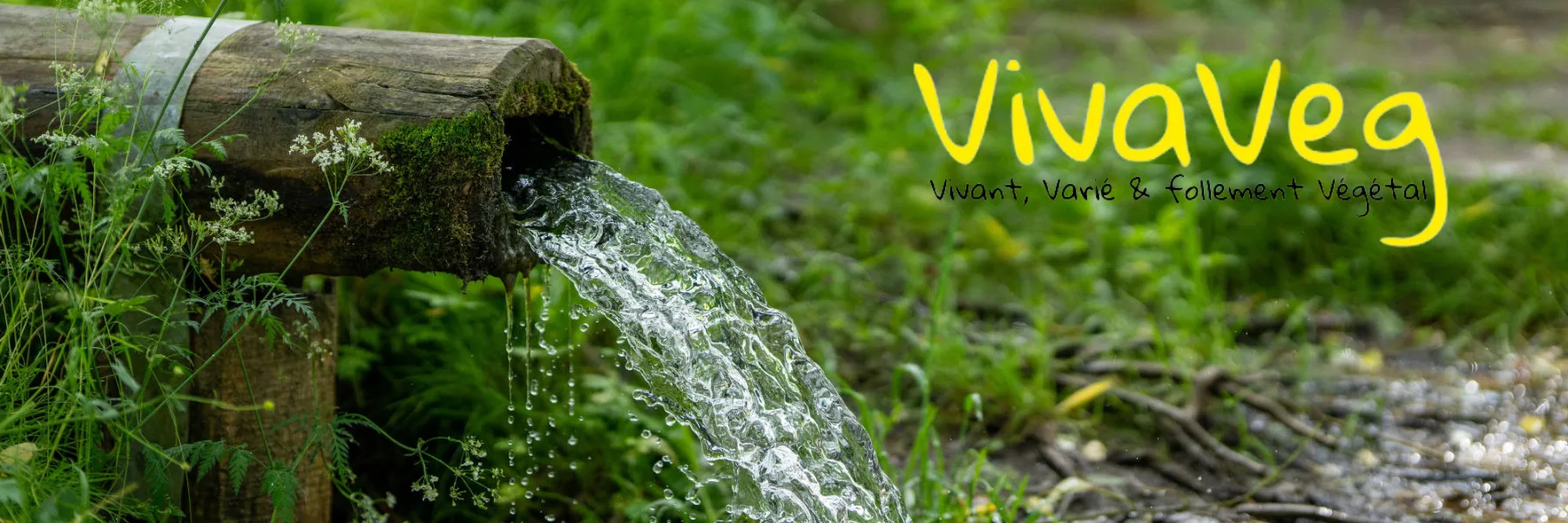 Vivaveg devient BioBoulevard Magasin de Santé & Diététique
