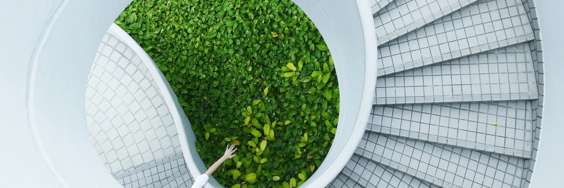 Vivaveg devient BioBoulevard Magasin de Santé & Diététique